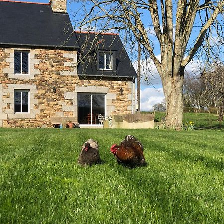 Maison Chic Proche Du Mont Saint Michel Marcilly  Luaran gambar