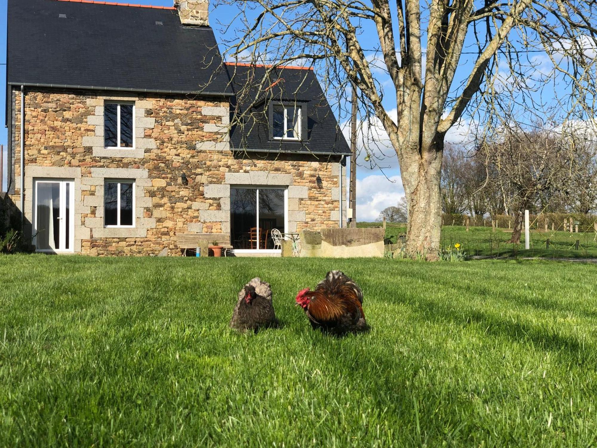 Maison Chic Proche Du Mont Saint Michel Marcilly  Luaran gambar